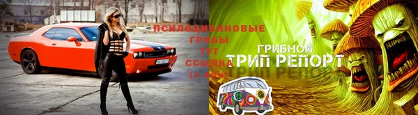 mdpv Алексин