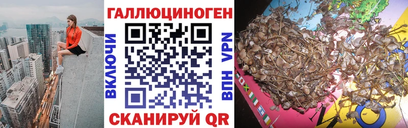 Галлюциногенные грибы прущие грибы Балашов