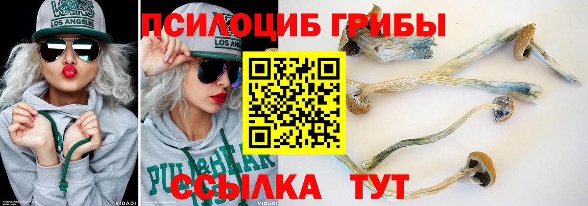 Псилоцибиновые грибы мицелий Балашов